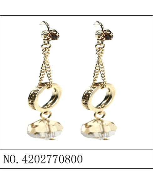 Earrings Brown