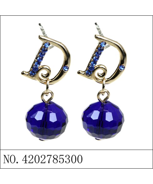 Earrings Purple