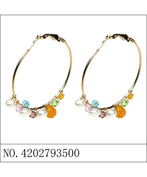 Earrings Orange