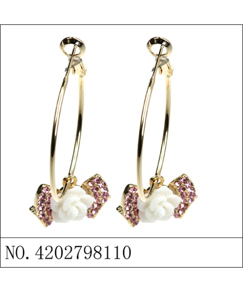 Earrings Brown