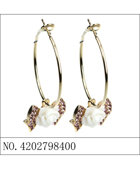 Earrings Brown