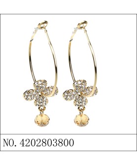 Earrings Brown
