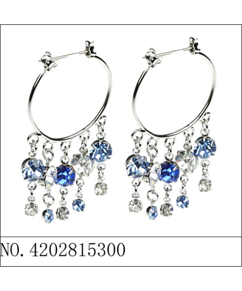 Earrings Black