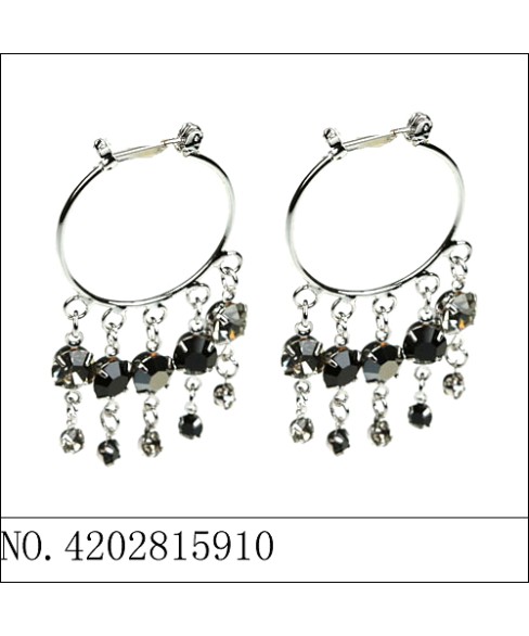 Earrings Blue