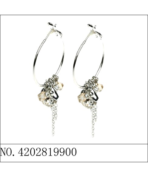 Earrings Black