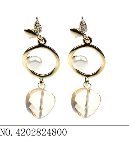 Earrings Brown