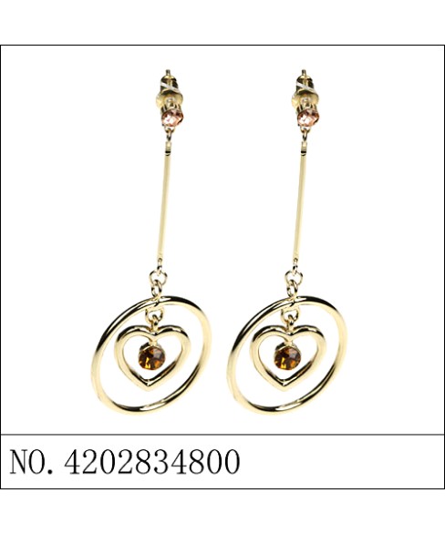 Earrings Brown