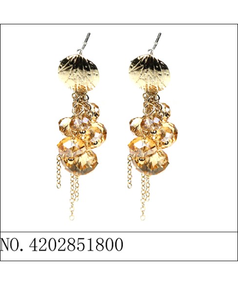 Earrings Brown