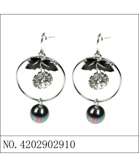 Earrings Black