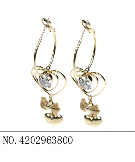 Earrings Brown