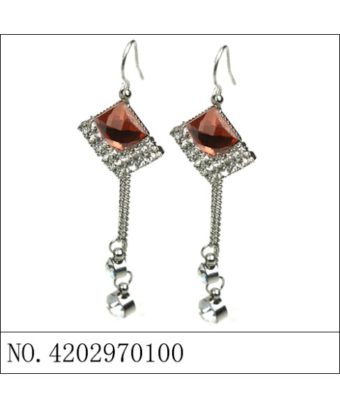 Earrings Brown