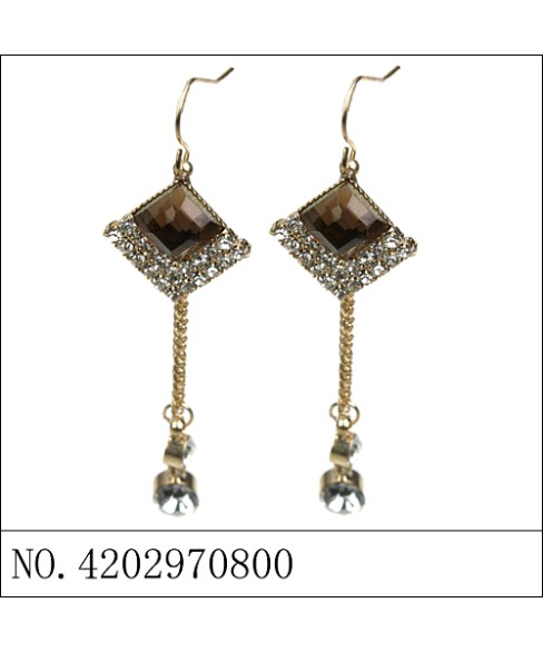 Earrings Brown