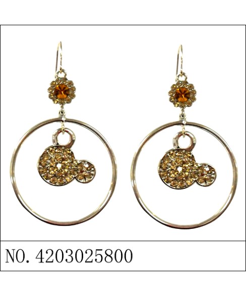 Earrings Brown
