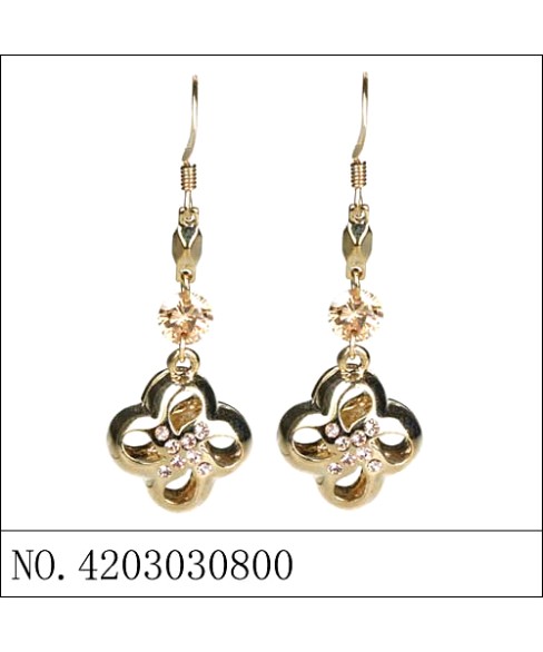 Earrings Brown