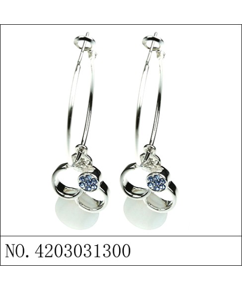 Earrings Blue