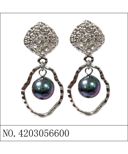 Earrings Gray