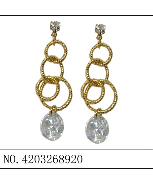 Earrings Gold