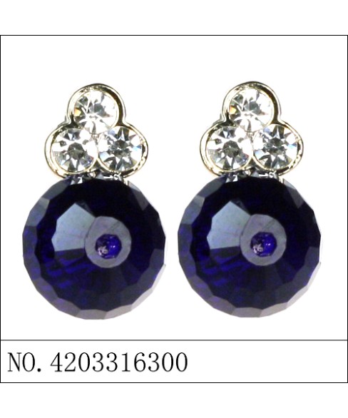 Earrings Blue