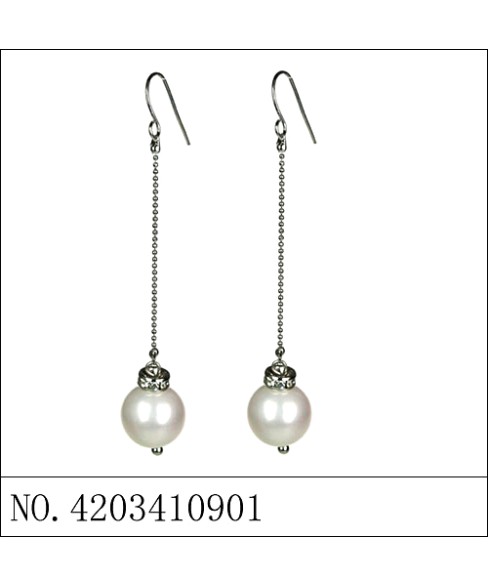 Earrings Gray