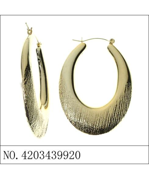 Earrings Gold