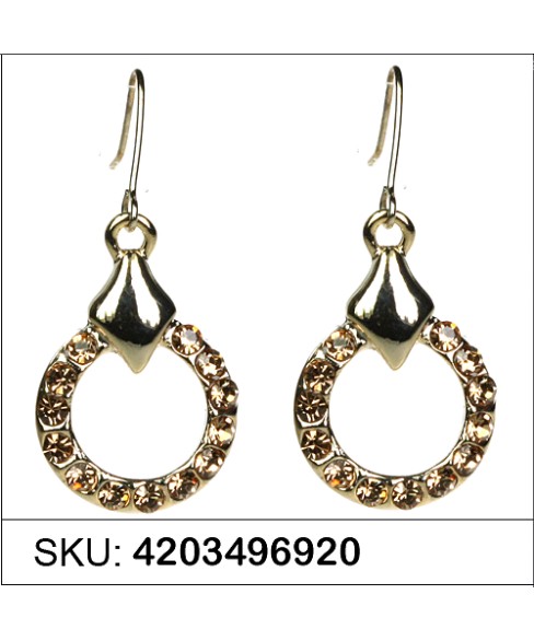 Earrings Gold