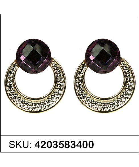 Earrings Brown