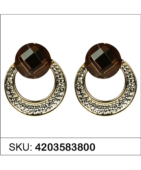 Earrings Brown