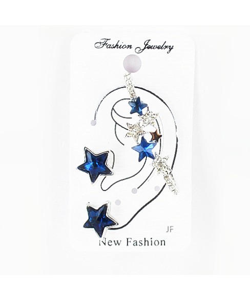 Earrings Blue