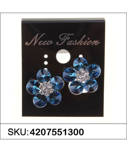 Earrings Blue