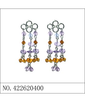 Earrings Purple