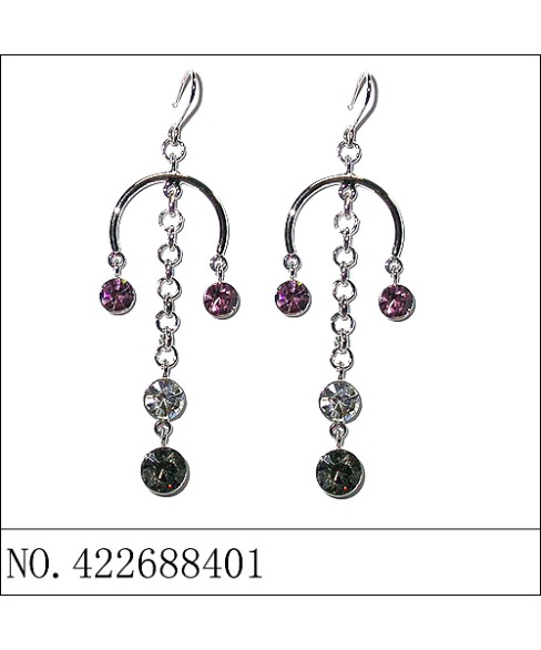 Earrings Purple