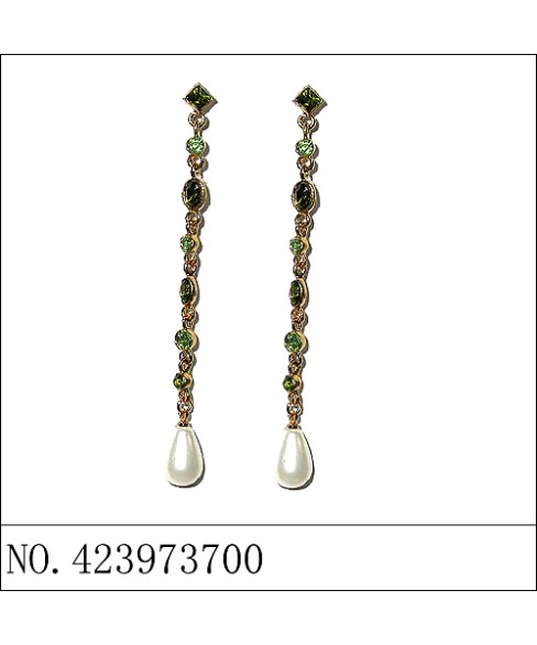 Earrings Brown