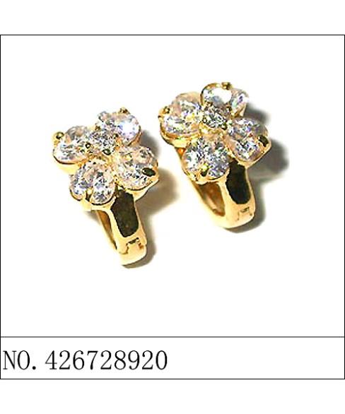 Earrings Gold