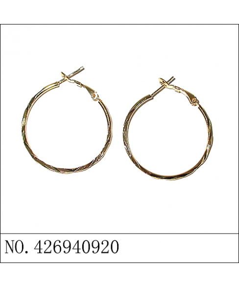 Earrings White Gold