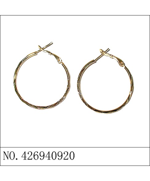 Earrings White Gold