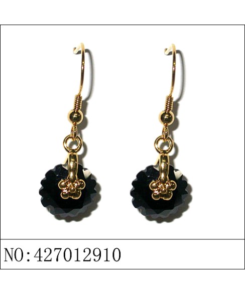 Earrings Black