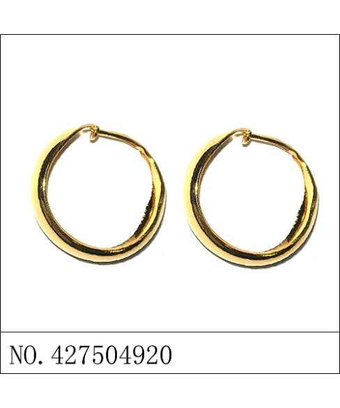 Earrings Gold