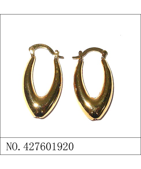 Earrings Gold