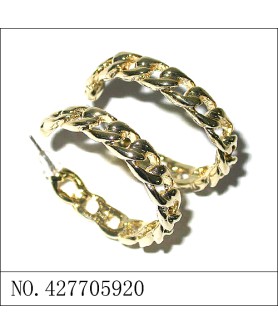 Earrings Gold