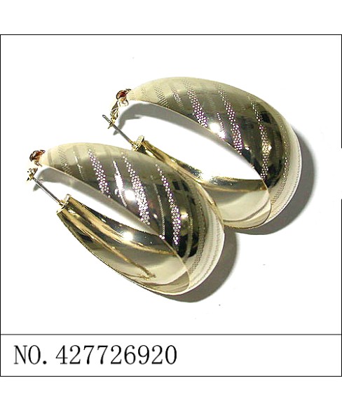 Earrings White Gold