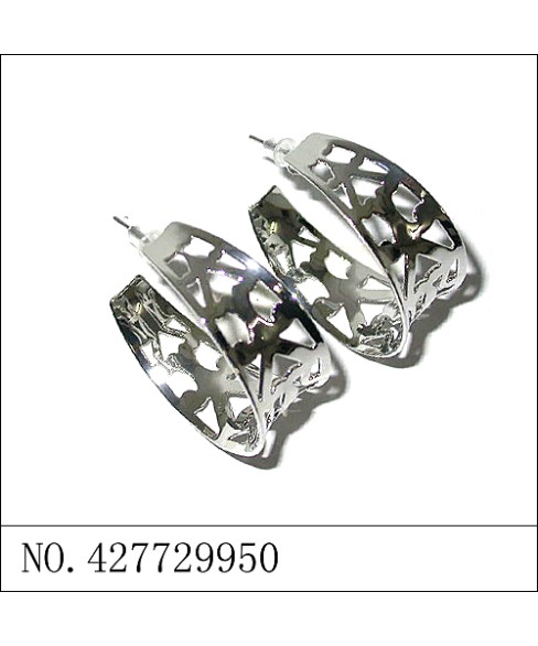 Earrings White Gold