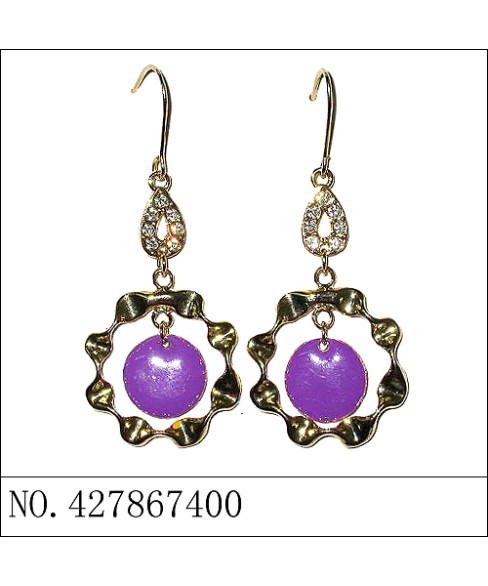 Earrings Purple