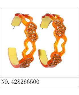 Earrings Orange