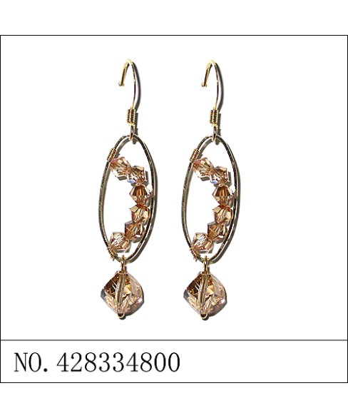 Earrings Brown