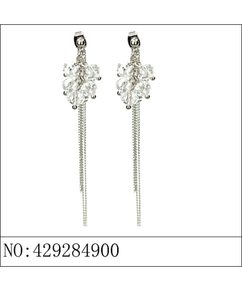 Earrings Gray