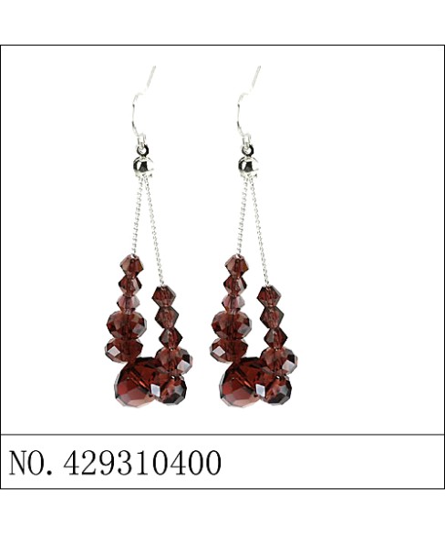 Earrings Brown