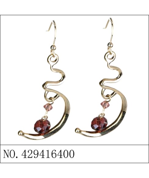 Earrings Brown