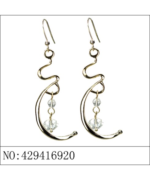 Earrings Brown