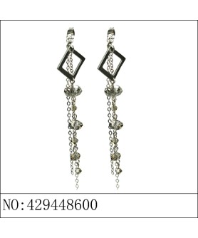 Earrings Gray