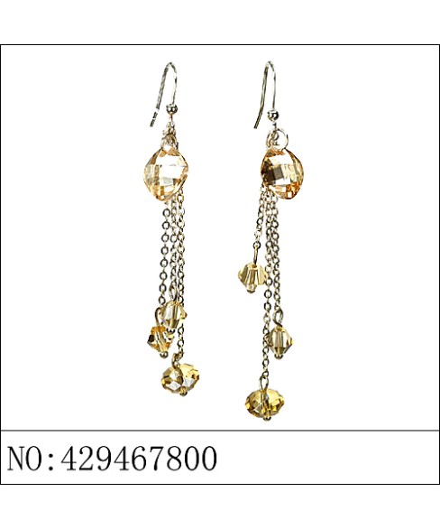 Earrings Brown